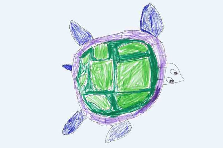 Die kleine Schildkröte sagt Hallo!